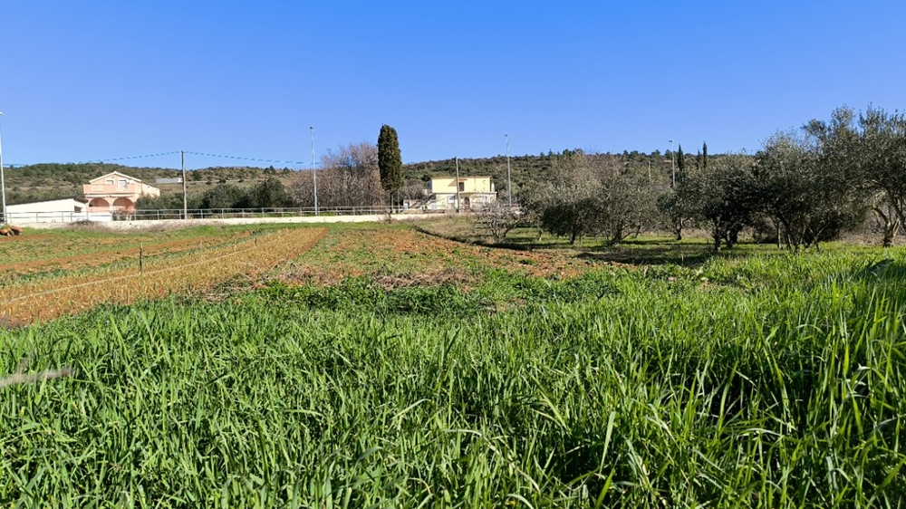 Grundstück in Posedarje zum Verkauf.