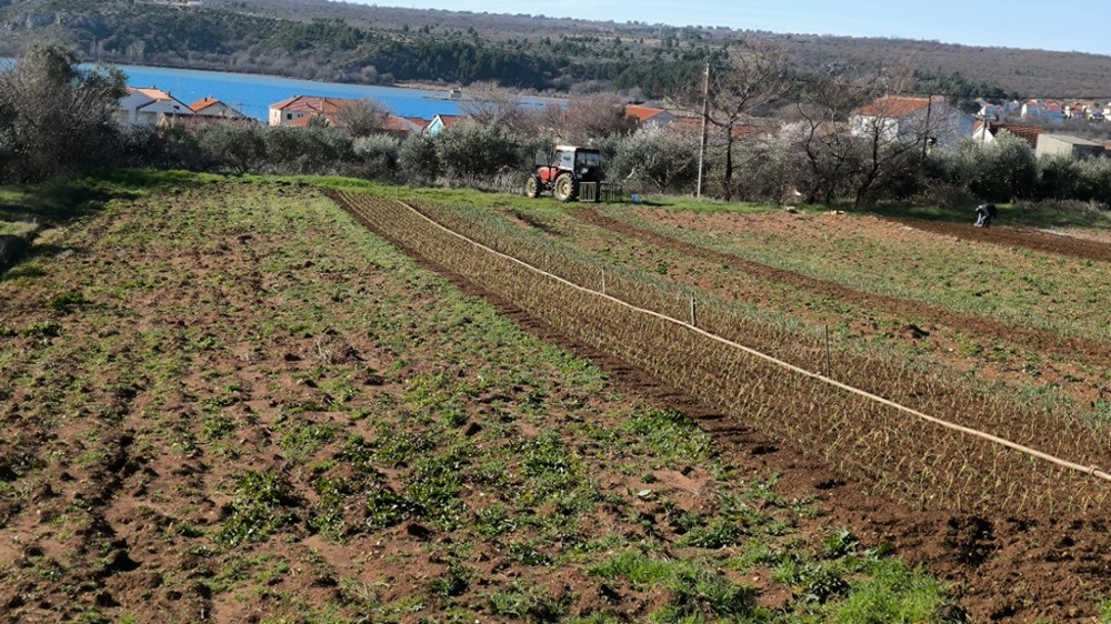 Meerblick der Immobilie G486 in Dalmatien.