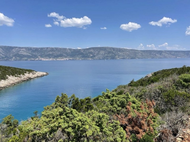 Landwirtschaftliches Grundstück kaufen auf Hvar.