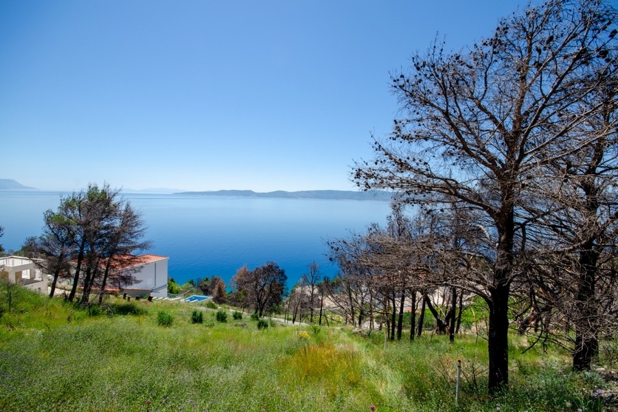 Baugrundstück mit Meerblick bei Omis