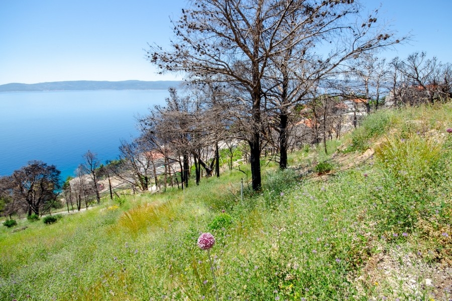 Bauland mit Panoramablick auf das Meer Kroatien