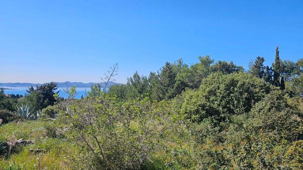 Bewachsenes Grundstück mit Blick auf das Meer