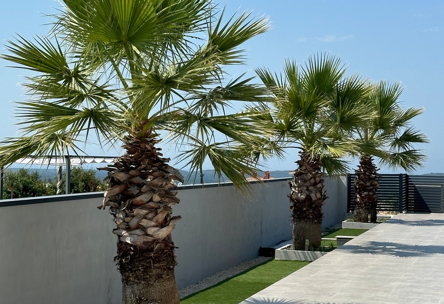 Terrasse mit genügend Platz 