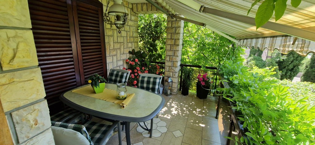 Terrasse mit Esstisch unter Weinranken