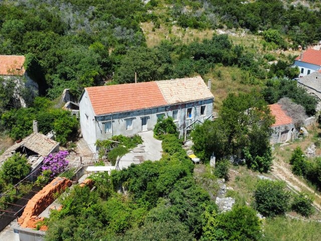 Altes Steinhaus mit Ziegeldach zwischen dichtem Grün