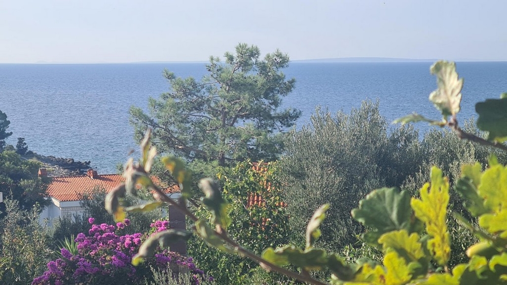 Mehrfamilienhaus mit Meerblick - Panorama Scouting - H2810