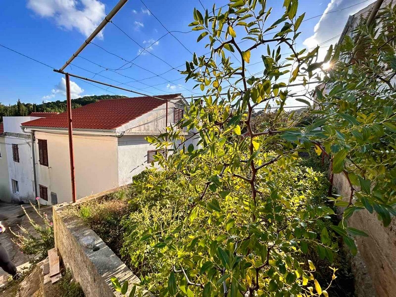 Üppiger Garten mit einer Vielzahl grüner Pflanzen außerhalb eines traditionellen kroatischen Hauses, verfügbar durch Panorama Scouting.