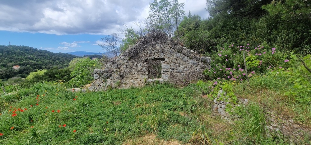 Immobilien Kroatien, Ruine mit Meerblick, eingebettet in grüner Landschaft und Blumenwiese