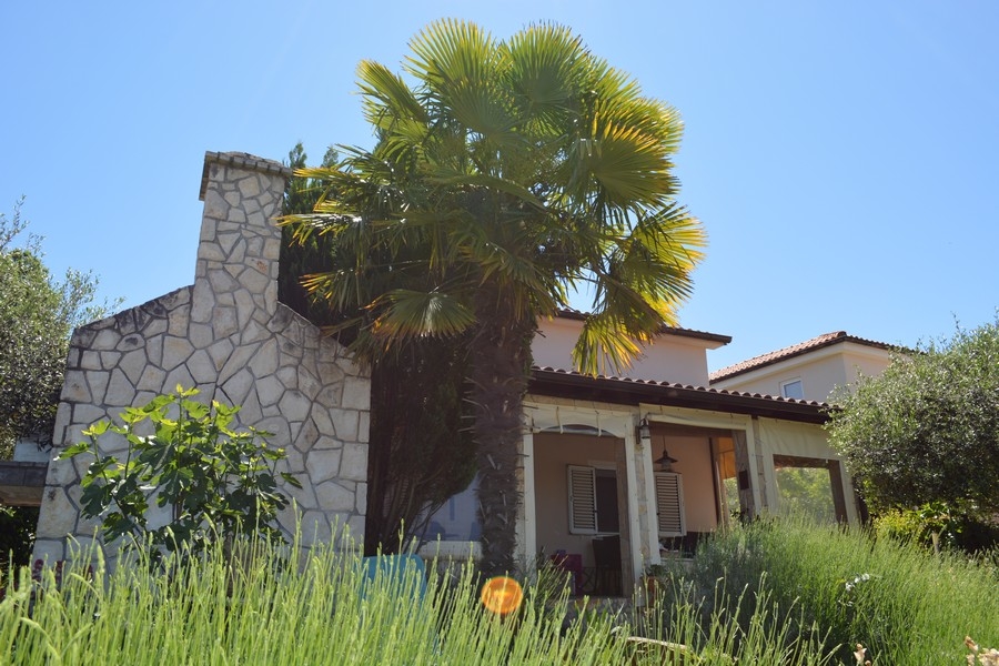 Ein schönes Haus umgeben von üppigem Grün und einer auffälligen Palme in Dobrinj auf der Insel Krk - Immobilien Kroatien, Dobrinj, Insel Krk Haus kaufen