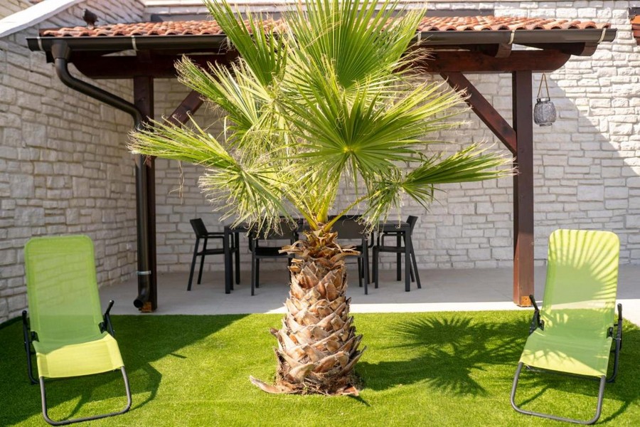 Gartenbereich mit Palme und Liegestühlen