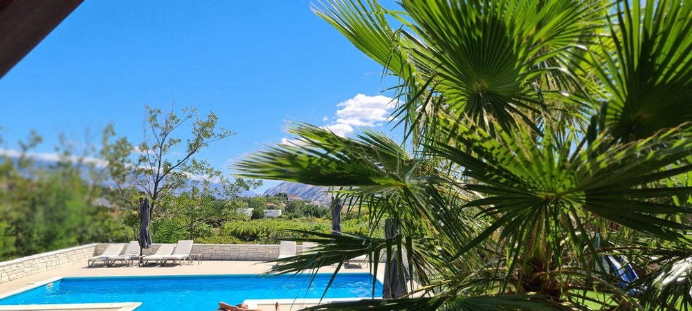 Pool mit Palmenblick