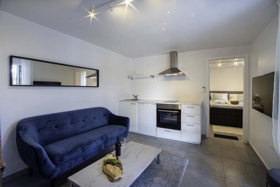 Wohnbereich mit Sofa und offener Küchenzeile