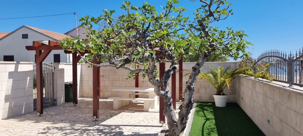 Außenbereich mit Feigenbaum, Terrasse und Pergola nahe dem Meer