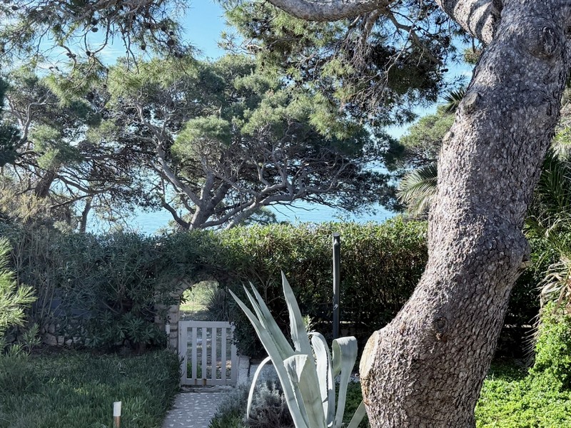 Blick auf mediterrane Umgebung und das Meer.