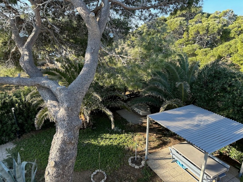 Garten mit mediterranen Pflanzen und schattigem Sitzbereich im Außenbereich