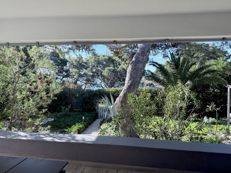 Blick vom Balkon in den grünen Garten mit altem Baumbestand und Privatsphäre