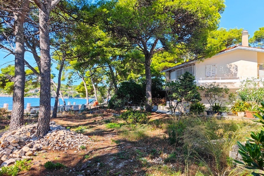 Mediterranes Haus unter Pinien am Meer - Immobilie H3921.