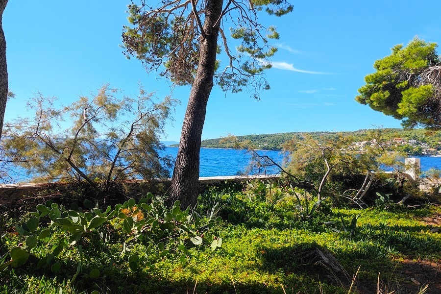 Grundstück direkt am Meer mit mediterraner Vegetation und Ausblick