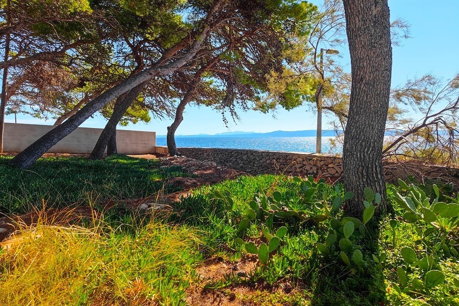 Küstenlage mit Felsstrand und Blick auf die Bucht