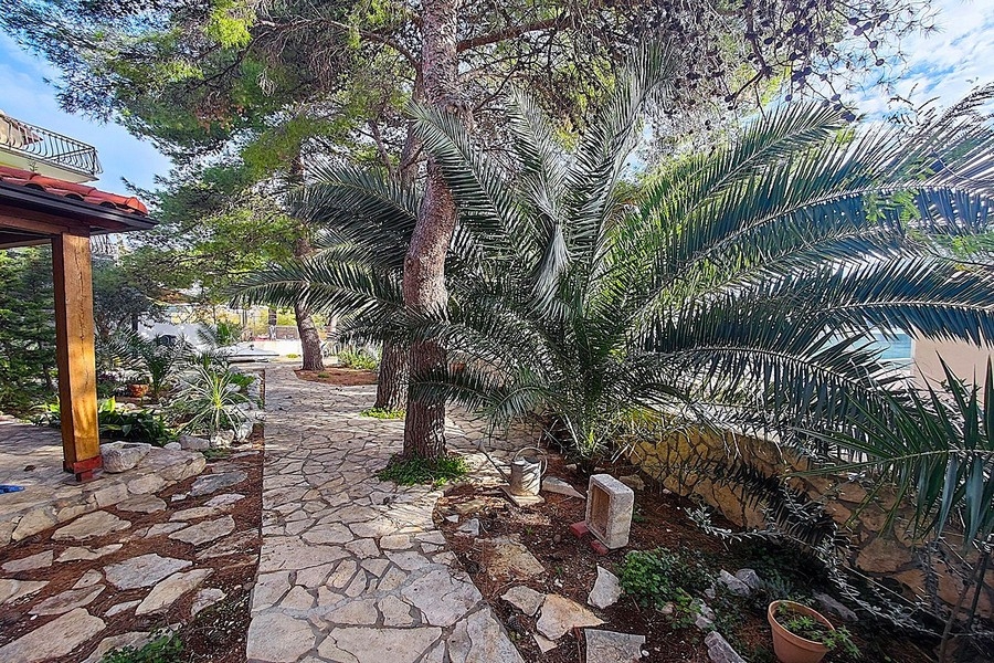 Mediterraner Garten mit Natursteinweg und Palmen