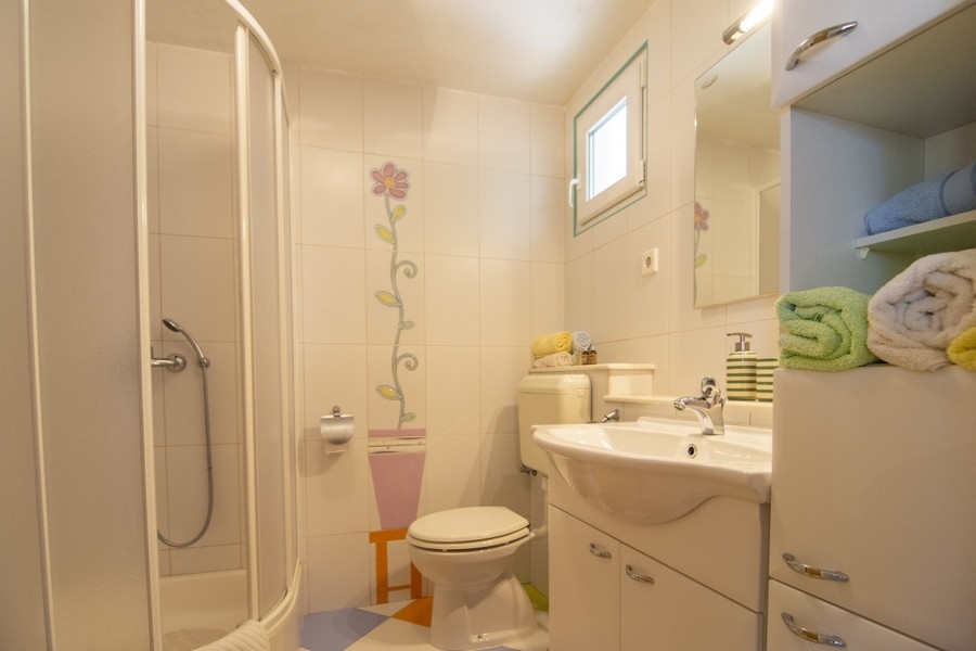 Badezimmer mit Dusche und Tageslicht