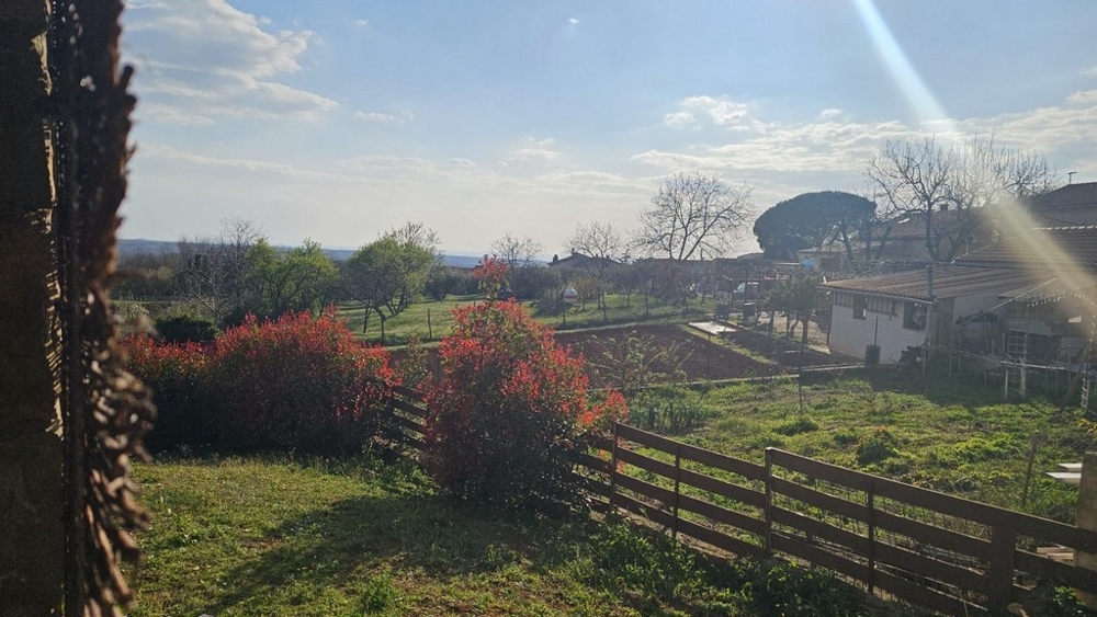 Blick über Garten und grüne Umgebung vom Haus