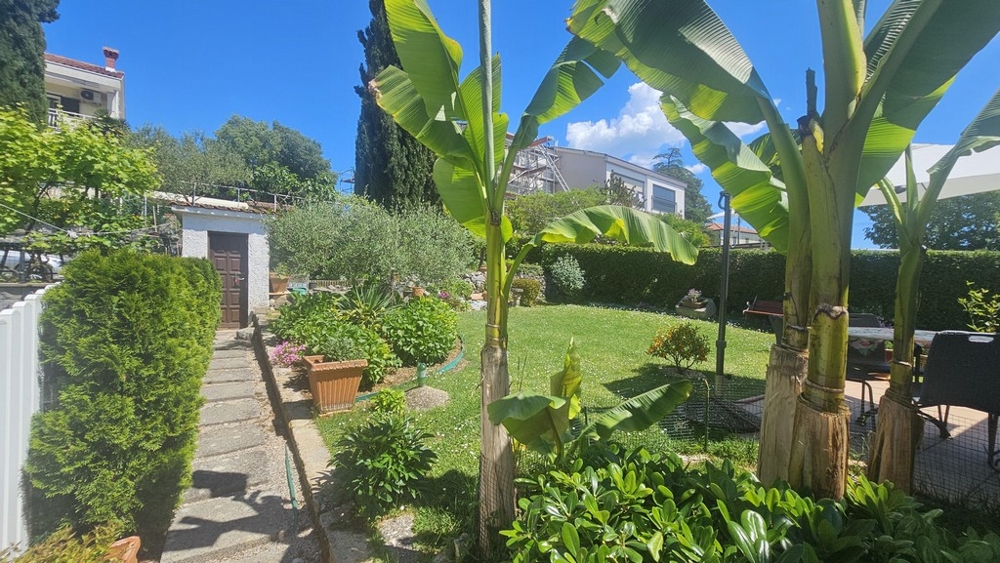 Gepflegter Garten mit mediterranen Pflanzen