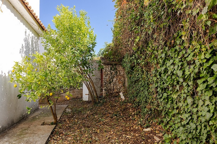 Mediterraner Garten mit Steinmauer