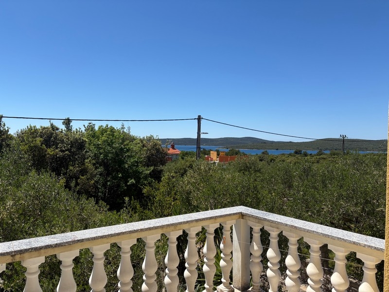 Blick über Olivenbäume auf das Meer in Kroatien