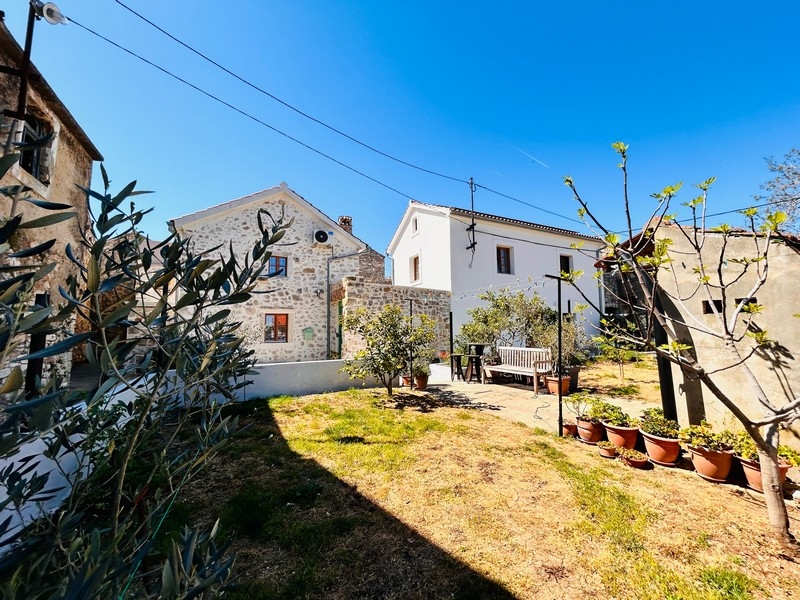 Garten mit Rasen und Olivenbaum in Kroatien