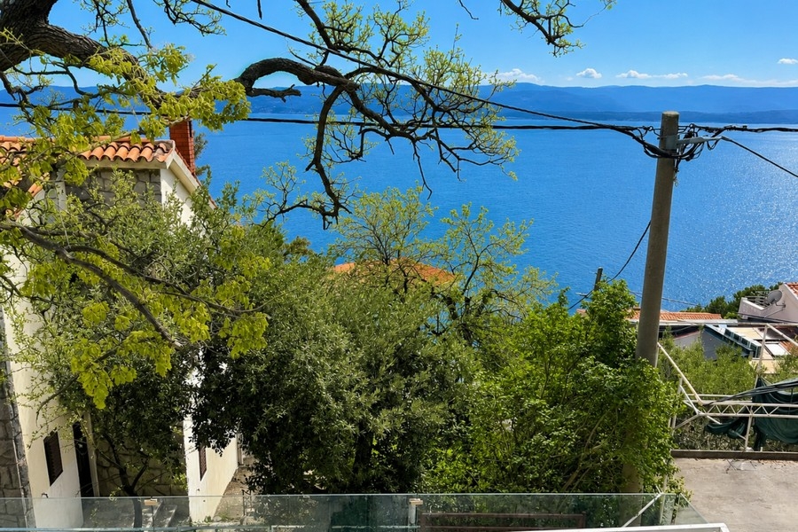 Blick durch Bäume auf das Meer in Kroatien
