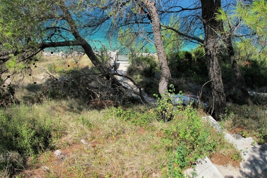 Grundstück mit Pinien und Meerblick in Kroatien