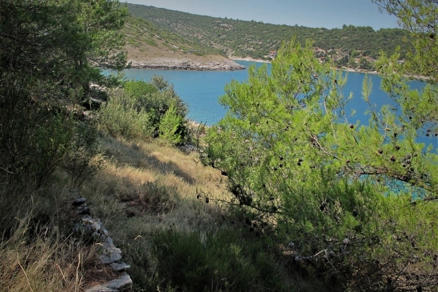 Bucht und Küste mit Pinien am Meer