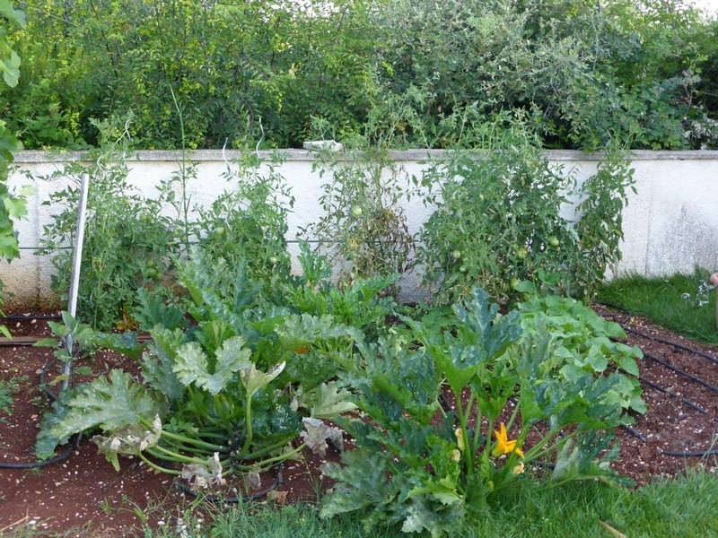 Gemüsegarten am Haus