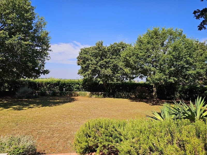 Weitläufiger Garten mit Hecke und viel Grün