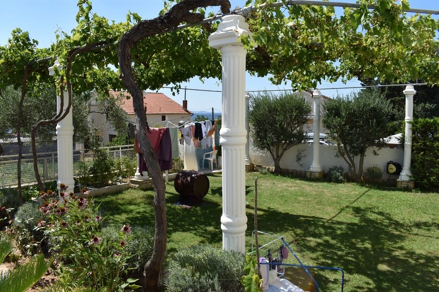 Pergola mit Weinreben im Garten