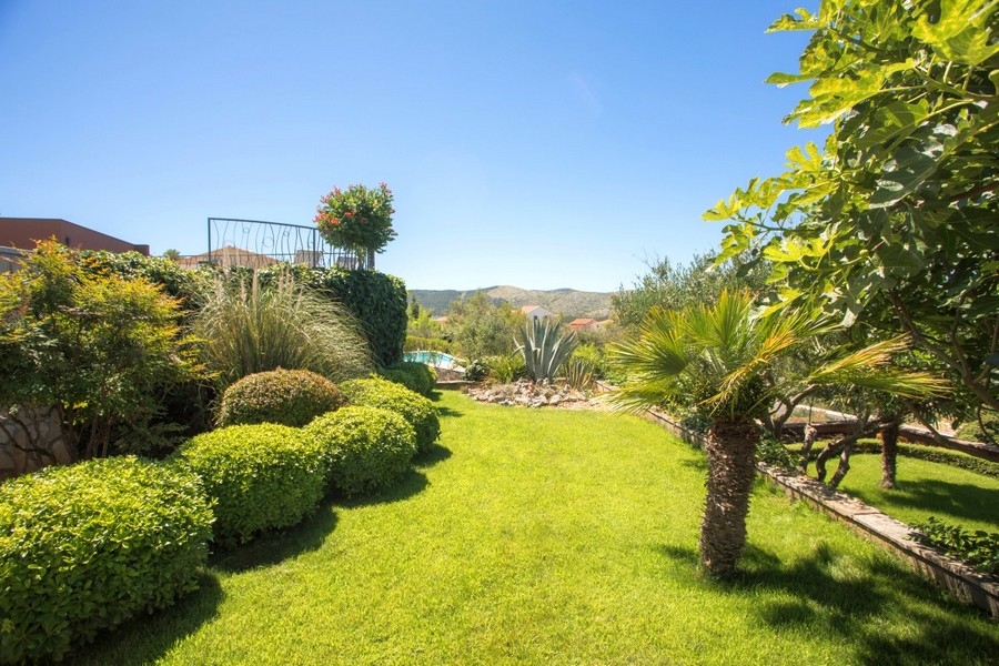 Mediterraner Garten mit gepflegter Rasenfläche