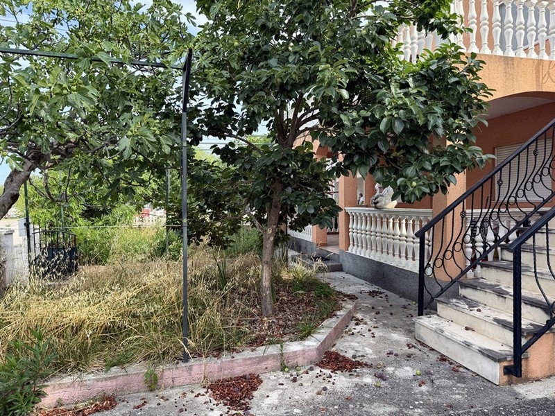 Garten mit Obstbäumen und Außentreppe