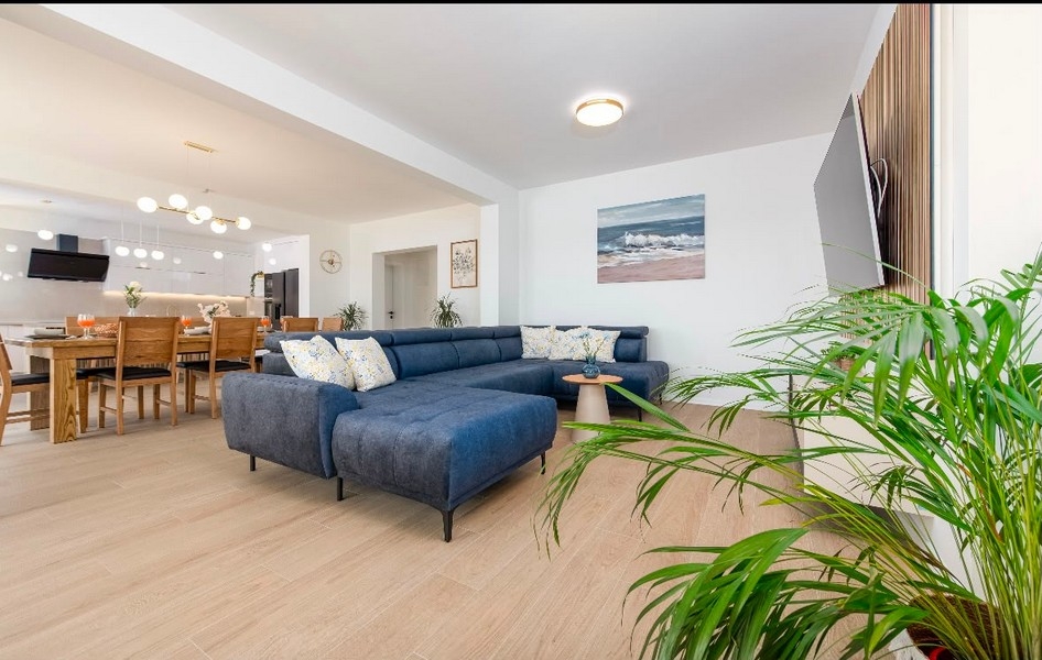 Wohnbereich mit Sofa und offenem Grundriss