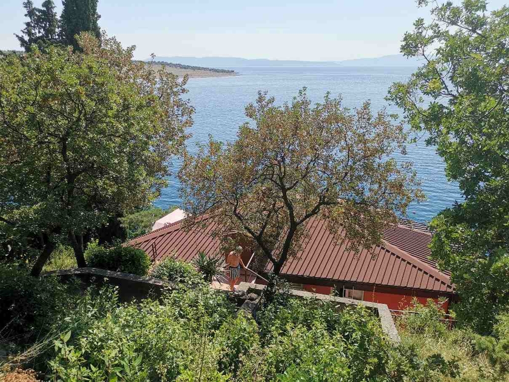 Blick durch Bäume auf das Meer und das Hausdach