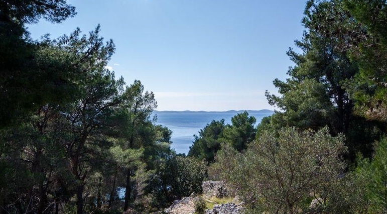 Blick vom Grundstück durch die Pinien auf das Meer