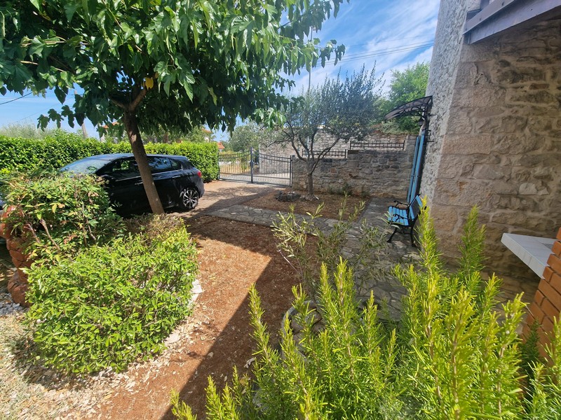 Garten mit Olivenbaum und Stellplatz