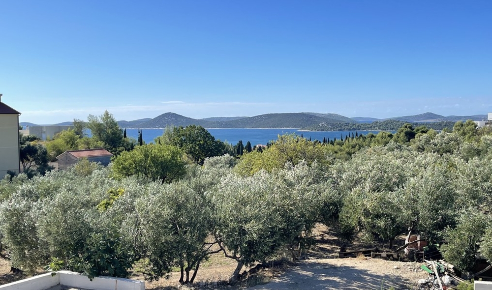 Meerblick über Olivenhaine auf die Adria in Vodice