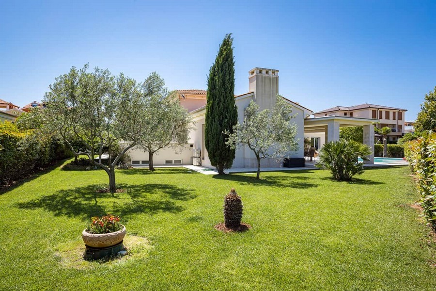 Mediterraner Garten mit Olivenbaum