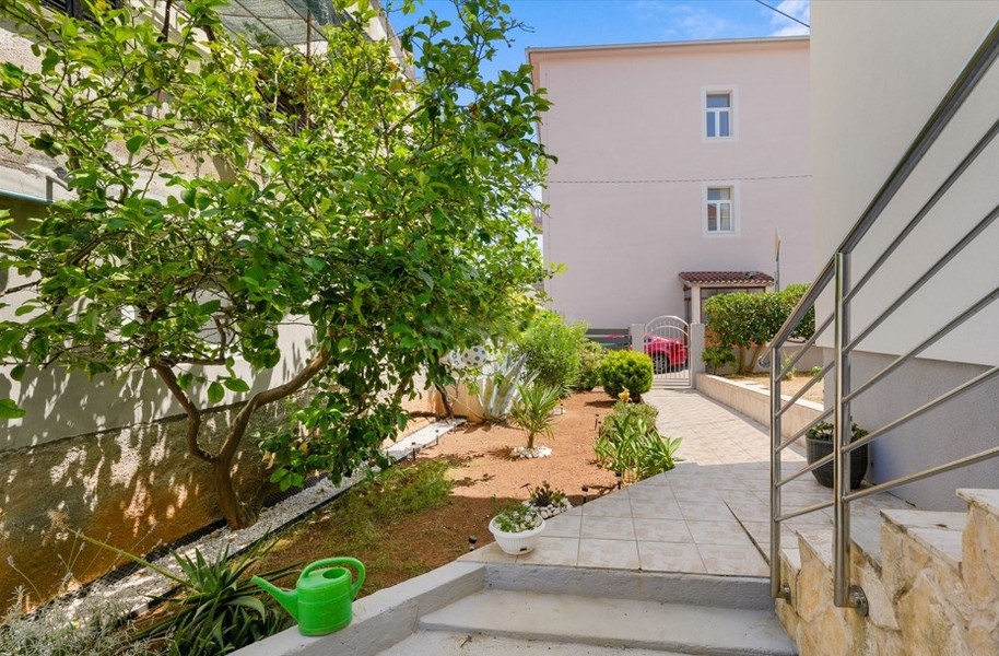 Garten mit Weg und Pflanzen