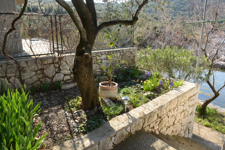 Garten mit Olivenbaum und Natursteinmauer