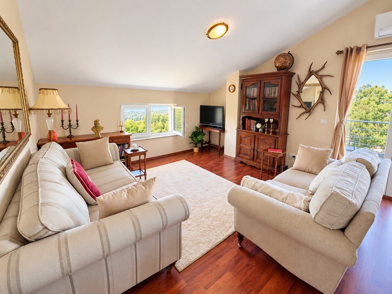 Wohnzimmer mit Sofas und Holzboden