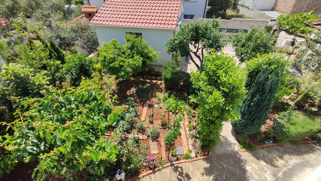 Garten mit Obstbäumen und Kräutern