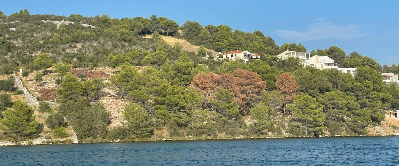 Baugrund am Meer kaufen Kroatien