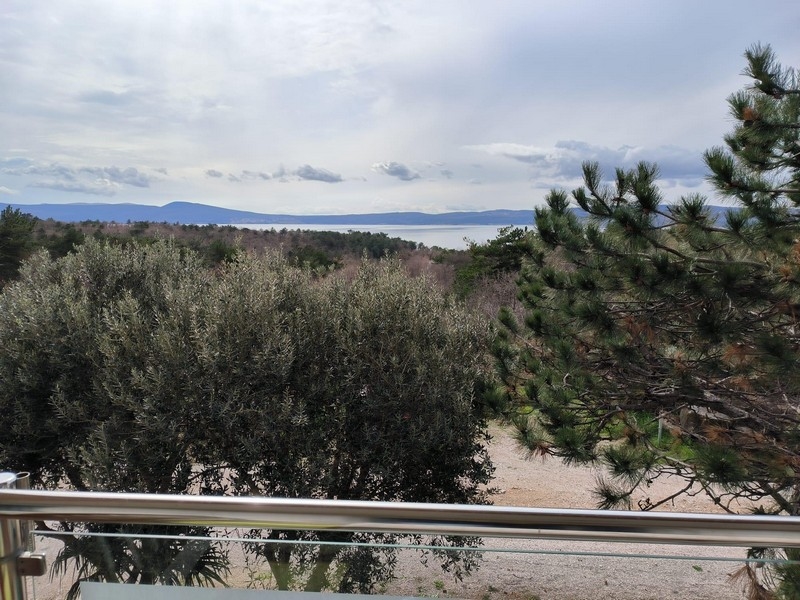 Blick von einer Terrasse in Kroatien mit teilweisem Meerblick, umgeben von Kiefern und Olivenbäumen.